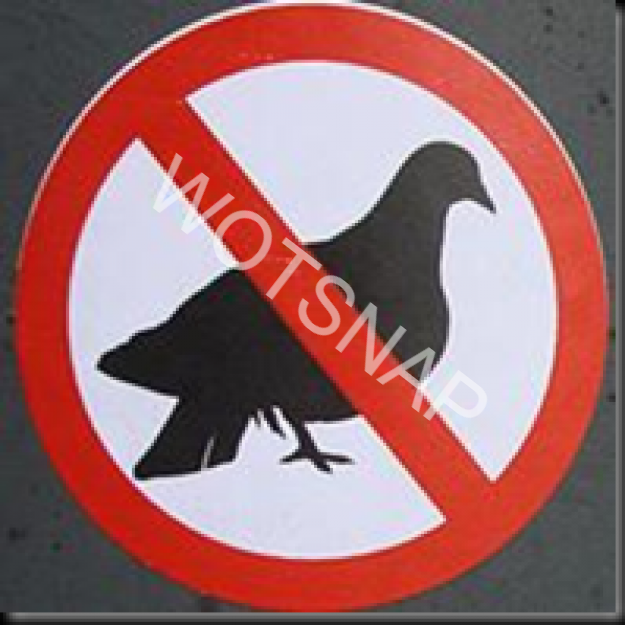 Every picture tells a story